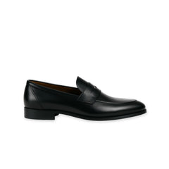 Duca di Morrone - LEONE_PELLE
